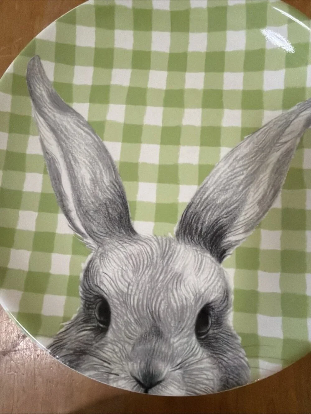 2 Pier 1 Imports Easter Bunny Ears Porcelain 8